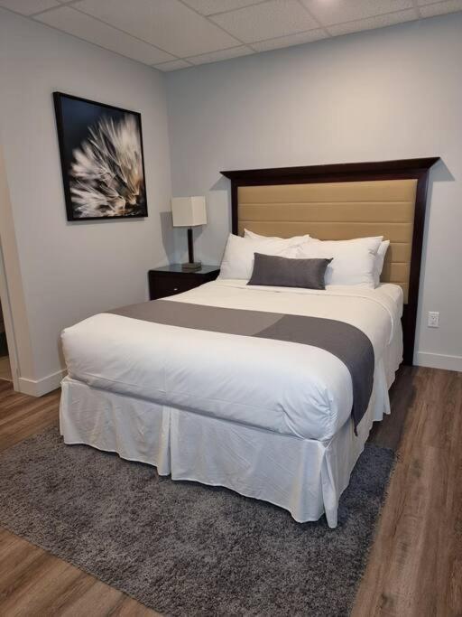 Cozy Sweet Studio #3. Ten Min To D.T Ottawa Gatineau Exterior foto